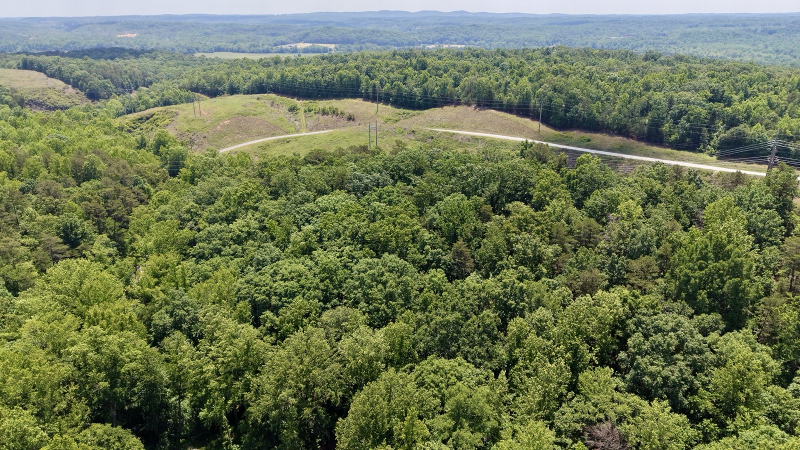 Green hills of North Georgia